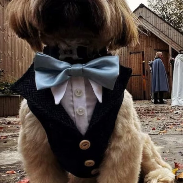 Harnais de costume de mariage pour chiens mâle/femelle