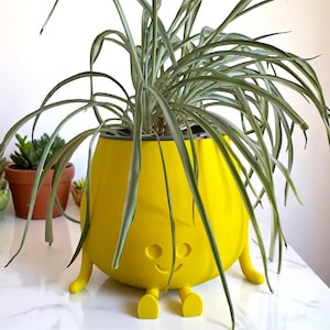 Happy Face Plant Pot, Cute Planter for Succulents, Kawaii Desk Decor, Fun Gift, Indoor Plant Decoration, Funny Planter, choose your size.