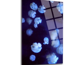 Jellyfish Wall Decor, Glass Wall Art, Frameless Free Floating Tempered Glass Panel, Home Office Living Room Decoration, Housewarming Gift