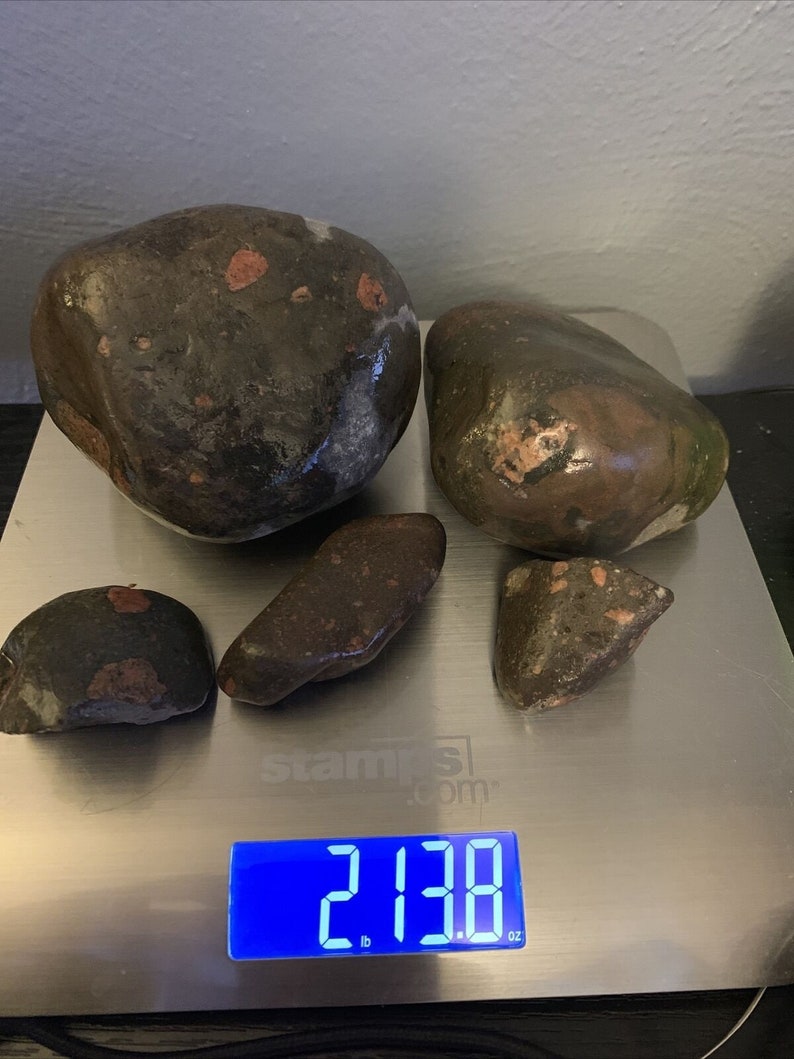 Gowganda Tillite Lot of 5 Lake Michigan Conglomerate Etsy