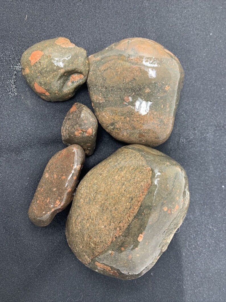 Gowganda Tillite Lot of 5 Lake Michigan Conglomerate Etsy