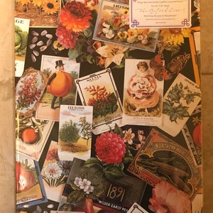 Vintage seed packet  gift wrap for decoupage, collage or scrap booking.