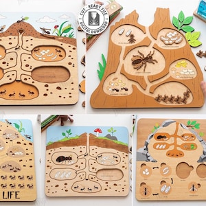 Puede incluir: Una colección de cinco rompecabezas de madera cortados con láser que muestran vistas transversales de hormigueros con túneles, cámaras, huevos y hormigas. Los tableros incluyen etiquetas como Food Storage y Ant's Life, con iconos de formatos.
