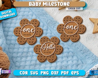 Baby milestone laser cut bundle, rattan milestones set, monthly baby first year cards, newborn announcement, hello world svg, children v.1