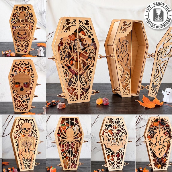 Skeleton Real in Box - Etsy UK