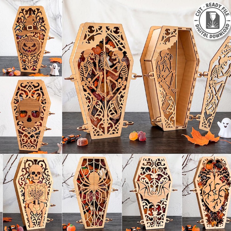Skeleton Real in Box - Etsy UK
