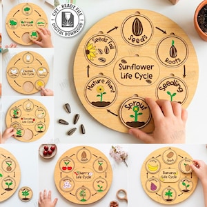 May include: A set of wooden educational toys illustrating life cycles, such as a sunflower and a bee. Each circular puzzle shows stages like seeds and sprouts. The designs are laser cut and include colour files. The toys are suitable for educational purposes.