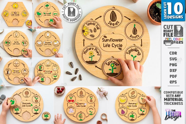 May include: A set of wooden educational toys illustrating life cycles, such as a sunflower and a bee. Each circular puzzle shows stages like seeds and sprouts. The designs are laser cut and include colour files. The toys are suitable for educational purposes.