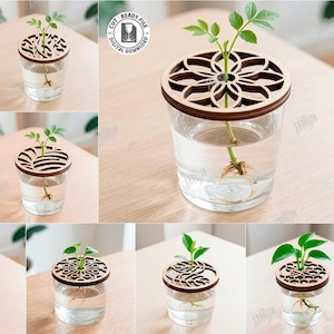 Puede incluir: Una colección de jarrones de propagación de vidrio transparente con tapas de madera cortadas con láser. Cada jarrón contiene un esqueje de planta con raíces visibles. Las tapas presentan varios diseños decorativos. También incluye el texto "CUT READY FILE DIGITAL DOWNLOAD".