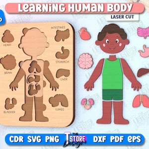 Learning Human Body Laser Cut Bundle, Montessori Toy, Human Body Puzzle, Kids Puzzle, Kids Anatomy Puzzle, Learning Toy, Educational Toy