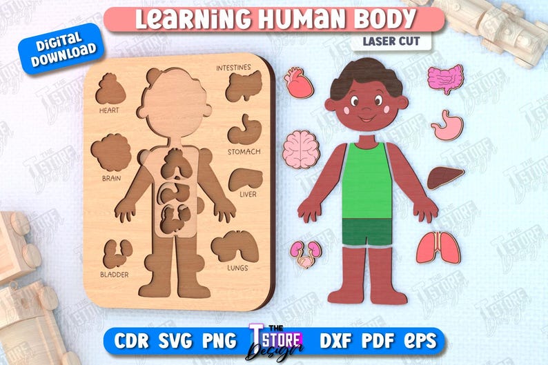 Learning Human Body Laser Cut Bundle, Montessori Toy, Human Body Puzzle ...