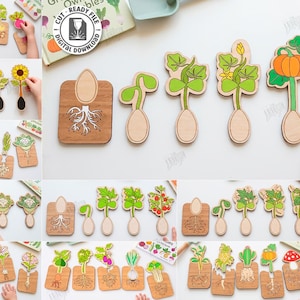 May include: A collection of wooden laser-cut designs depicting plant growth, featuring carrots, sunflowers, and pumpkins. The designs show different growth stages, from seed to mature plant. The image also includes the text "CUT READY FILE".