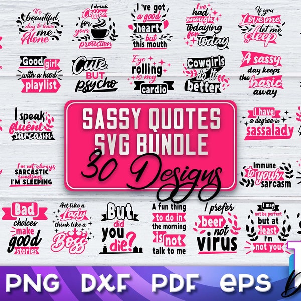 Sassy Quotes SVG Bundle | Sarcastic Quotes SVG | Funny T Shirt Designs volume 1