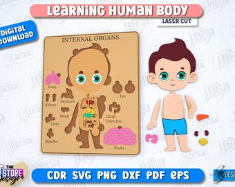 Learning Human Body Laser Cut Bundle, Wooden Kids Anatomy Puzzles ...