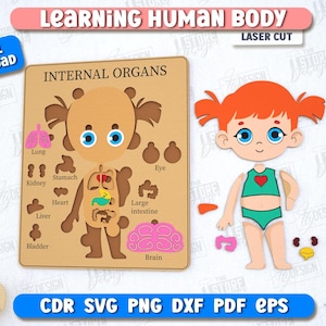 Learning Human Body Laser Cut Bundle, Wooden Kids Anatomy Puzzles, Gifts for Kids, Human Body Puzzle, Educational Toys, Montessori Toys v.2