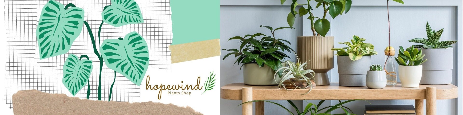Willing plant 台座 3点セット【hope】 Willing plant 台座 3点セット【hope様専用】 - メルカリ
