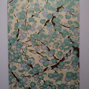 Album delle foto Leporello verde acqua Fiori di pruno 12 x 17 cm (5" x 7").