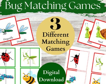 Insektmatchningsspel | Sensorisk behållare (digital nedladdning)