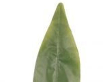 Single Plastic Bird's Nest Fern Leaf 28 inch Artificial Leaves