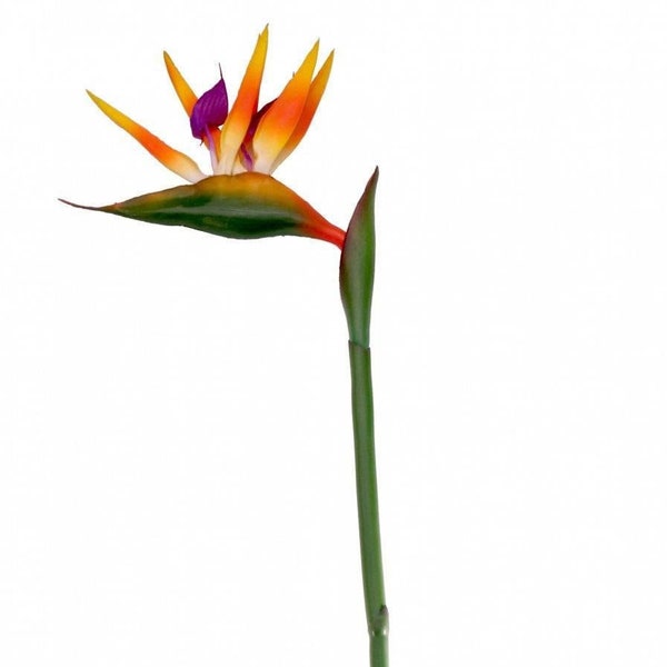 Large Bird of Paradise Stem Artificial Silk Flowers