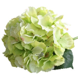 Dried Hydrangea Flowers on Medium Stems 5 Pink, Cream, and Lime
