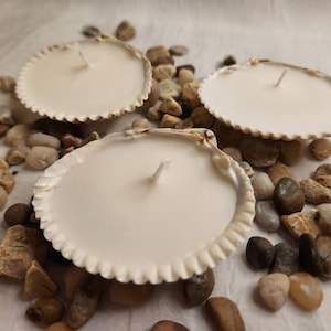 May include: Three white candles in seashell holders on a white background with small brown and gray stones.