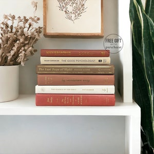 May include: A stack of seven books with brown, cream, and red covers. The books are arranged on a white shelf with a potted plant and a framed picture on the left and a potted plant on the right. The titles of the books are visible: "Never Home", "The Good Psychologist", "The Last Days of Night", "by invitation only", "The Silence of the Girls", and "Jane Smiley".