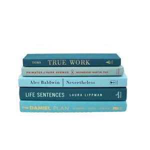 K&ouml;nnte beinhalten: Ein Stapel von f&uuml;nf gebundenen B&uuml;chern in Teal und Hellblau mit goldenen Schriftz&uuml;gen auf den R&uuml;ckseiten. Die Titel lauten "True Work", "Primates of Park Avenue", "Nevertheless", "Life Sentences" und "The Daniel Plan".