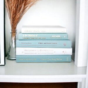 May include: A stack of books on a white shelf. The books are all different colors and have different titles. The titles include "Pray For Me", "A 2nd Helping of Chicken Soup for the Soul", "The Affliction", "Delivered from Distraction", and "I Heard That Song Before".