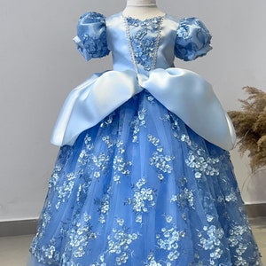 Cinderella Dress, Blue Princess Dress, Cinderella Inspired Costume, Halloween Dress, Princess Dress for Little Kids, Blue Floral Dress