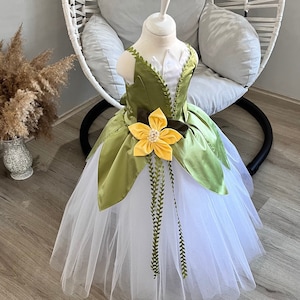 Déguisement tiana adulte top