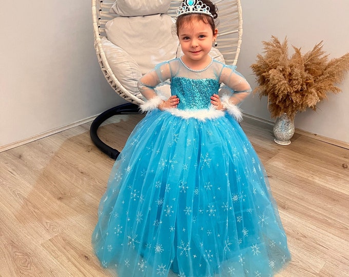 Frozen Princess Elsa Dress, Elsa Crown, Elsa Wand And Elsa Hair.