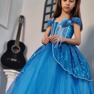 Cinderella Birthday Party Dress, Cinderella Ball Gown,Handmade Cindirella Costume For Kids, Blue Puffy Tulle Ball Gown