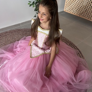 Princess Aurora Inspired Dress, Sleeping Beauty Princess Halloween Costume, Girl Tutu Dress, Ball Gown