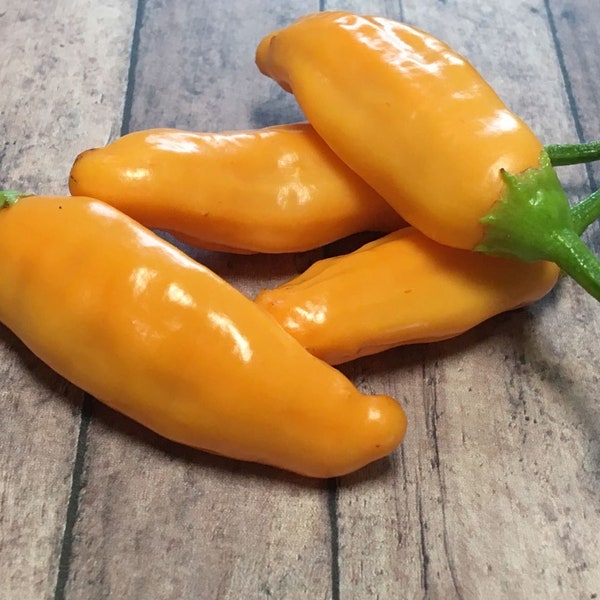 Big Inca Orange Drop Pepper Seeds -   15+ Pepper Seeds