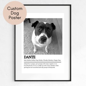 Póster de perro personalizado, nombres de perros, nombres de mascotas, definición de mascota, retrato de mascota personalizado, carteles de mascotas, póster de gato - DIGITAL