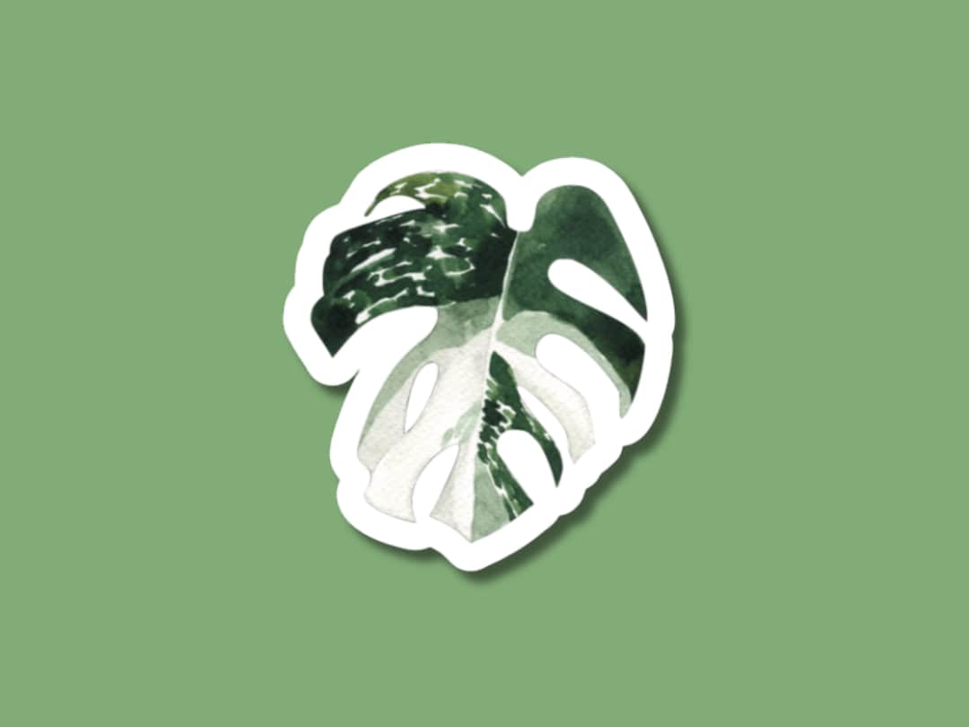 Variegated Monstera Sticker, Monstera Stickers, Gifts for Mom, Plant ...