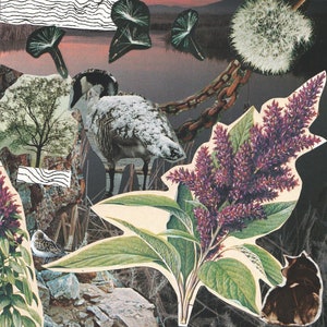 Collage art made from vintage national geographic magazine, featuring a punk goose with some rad chains and florals, purple hues