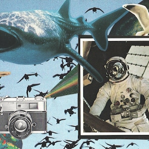 Collage art made from vintage national geographic magazine, featuring whale shark and astronaut, blue hues