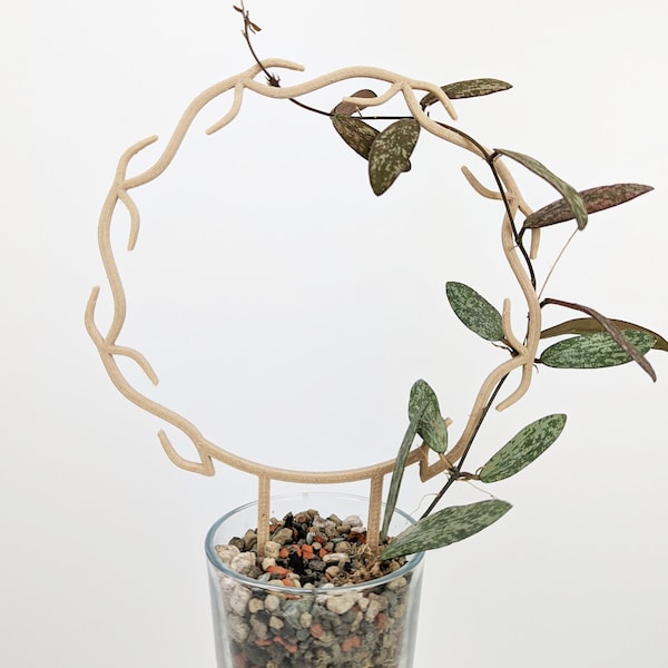 Wreath Trellis | Hoya Trellis | Houseplant Trellis | Plant Stake | Hoya Support