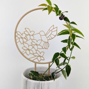 Hummingbird Trellis | Wood Plant Trellis | Houseplant Trellis | Plant Stake | Hoya Support