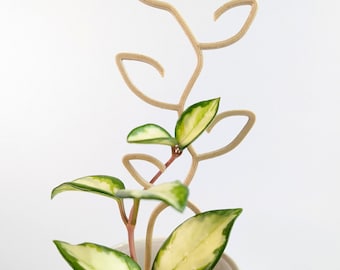 Small Leaf Trellis | Wooden Plant Trellis | Houseplant Trellis | Hoya Support | Plant Stake