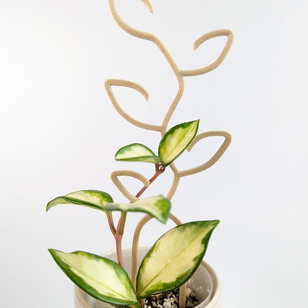 Small Leaf Trellis | Wooden Plant Trellis | Houseplant Trellis | Hoya Support | Plant Stake