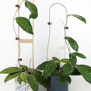 Extra Large U Trellis | Arch Trellis | Pothos Support | Houseplant Trellis | Wood Plant Trellis | Plant Stake