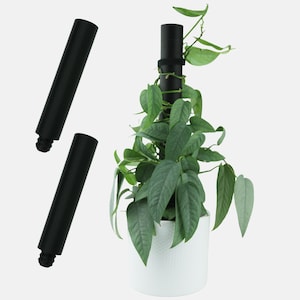 Puede incluir: Dos estacas de plantas negras, una con una planta de enredadera verde envuelta alrededor. La planta está en una maceta blanca.