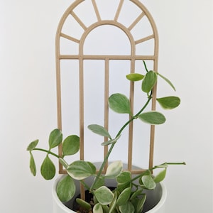 Bogen-Fenster-Rankgitter | Radius Fenster | Zimmerpflanzenspalm | Holz Pflanzengitter | Pflanzenstecker