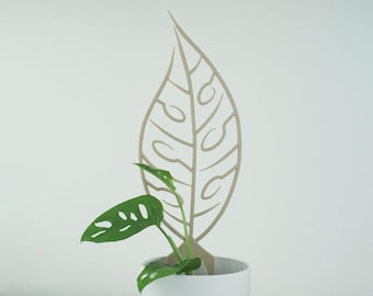 Monstera Adansonii Trellis | Wooden Plant Trellis | Houseplant Trellis | Hoya Support | Plant Stake