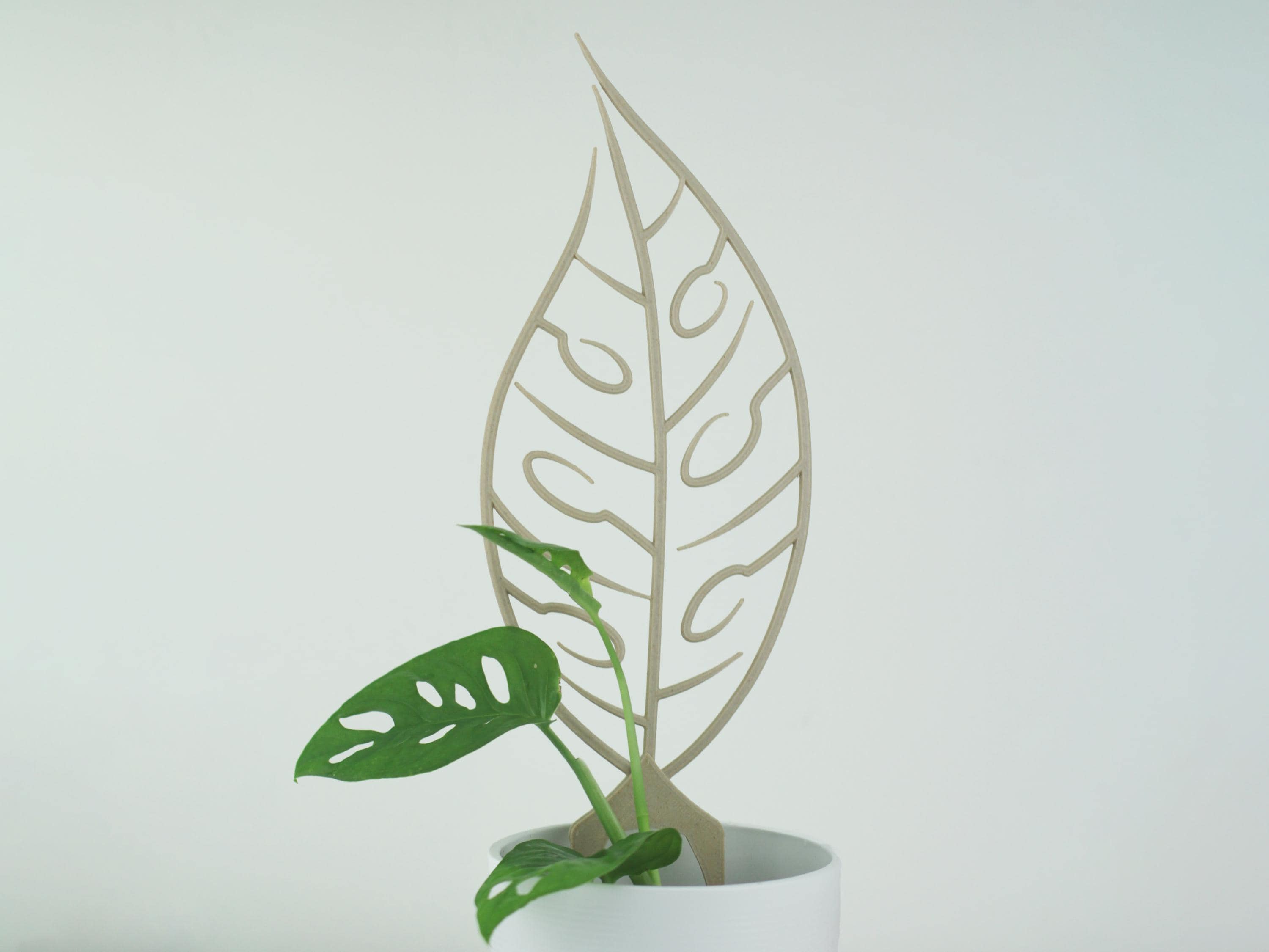 Monstera Adansonii Trellis | Wooden Plant Trellis | Houseplant Trellis |  Hoya Support | Plant Stake - Etsy