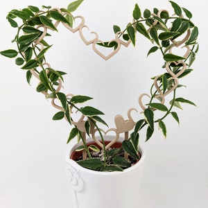 Open Hearts Trellis | Houseplant Trellis | Wood Plant Trellis | Plant Stake
