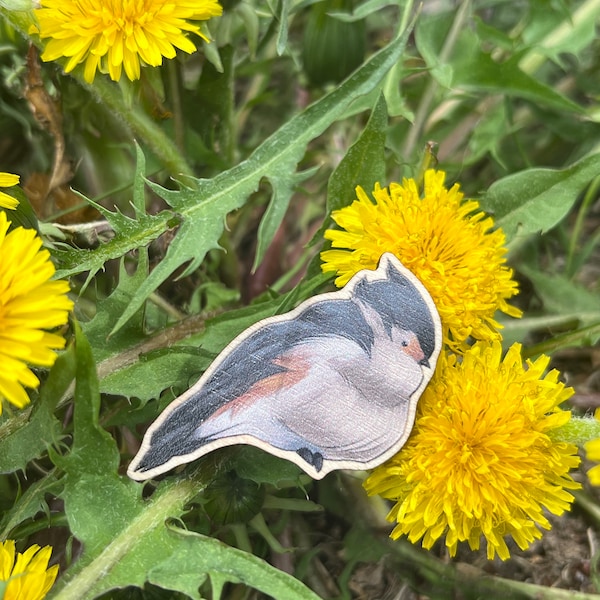 Little Gentleman Bird Pin